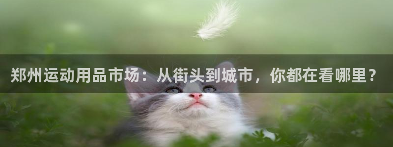 征途国际招商电话号码查询是多少：郑州运动用品市场：从街头到城