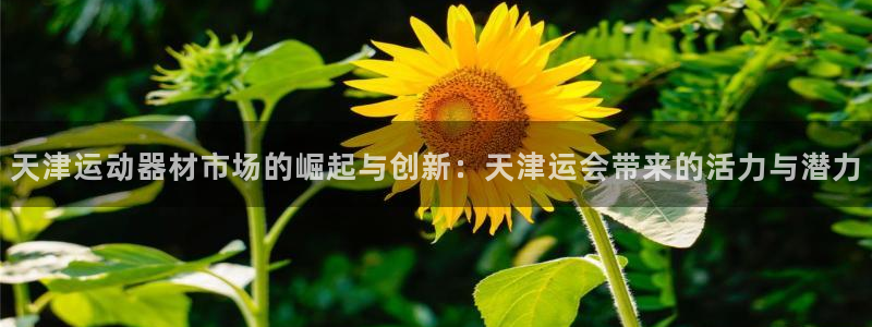 征途国际集团简介：天津运动器材市场的崛起与创新：天津运会带来