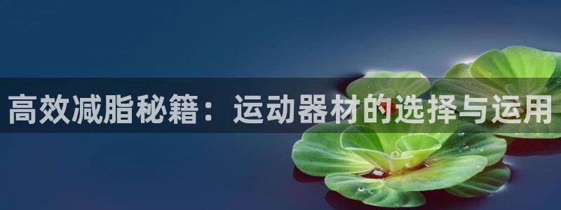 征途国际娱乐平台：高效减脂秘籍：运动器材的选择与运用