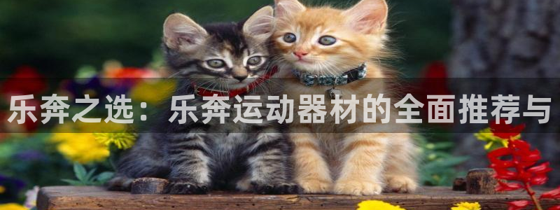 征途国际是干嘛的公司：乐奔之选：乐奔运动器材的全面推