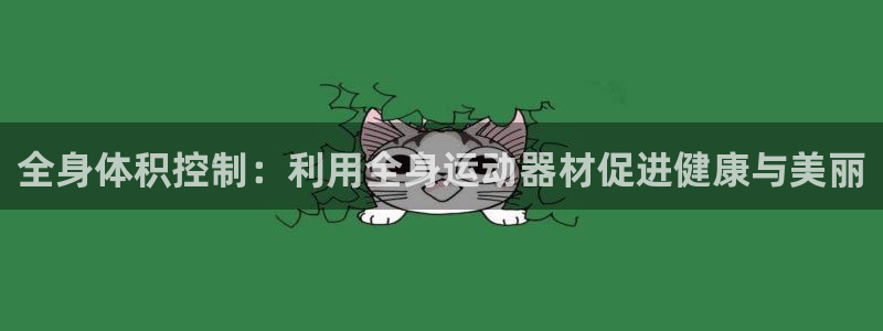 征途国际神州