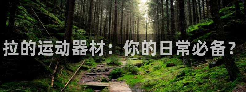 征途国际平台是正规平台吗知乎：拉的运动器材：你的日常