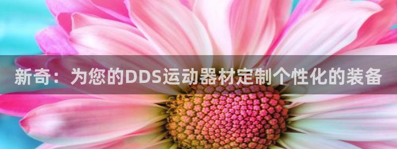 征途国际官方客服电话：新奇：为您的DDS运动器材定制