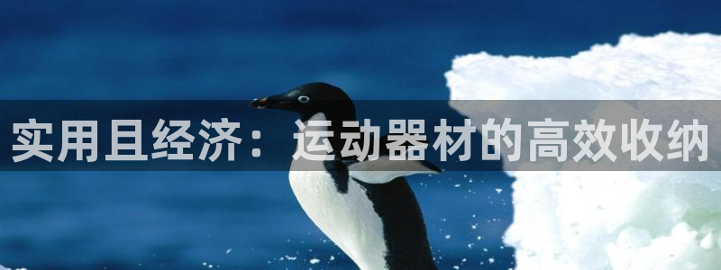 征途国际招商电话号码查询是多少：实用且经济：运动器材的高效收
