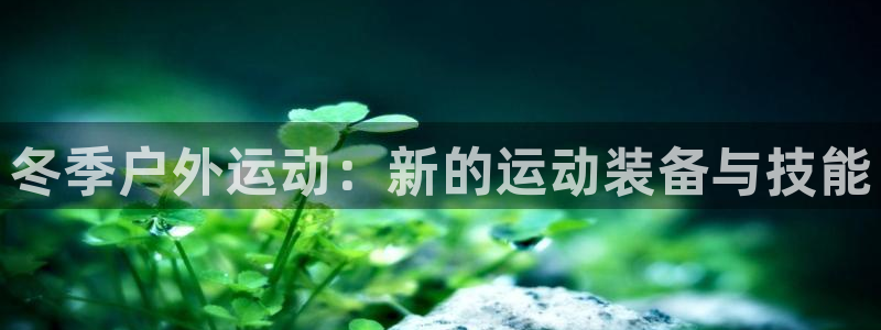 征途国际官方：冬季户外运动：新的运动装备与技能