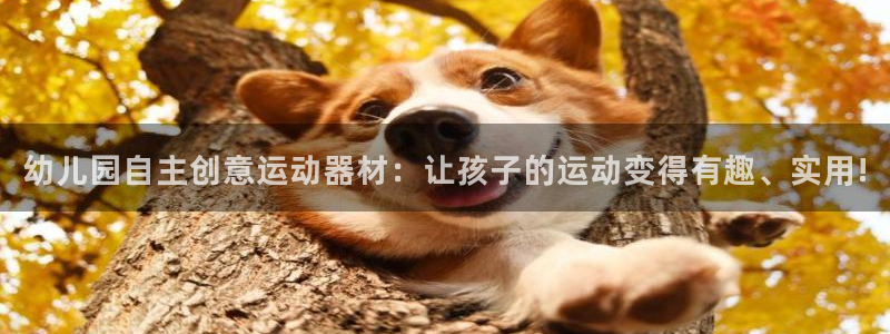 征途国际招商电话是多少