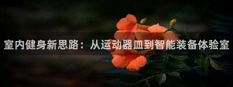征途国际平台注册要钱吗：室内健身新思路：从运动器皿到