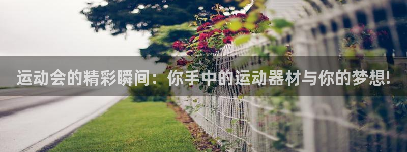 征途国际招商电话号码是多少啊：运动会的精彩瞬间：你手中的运动