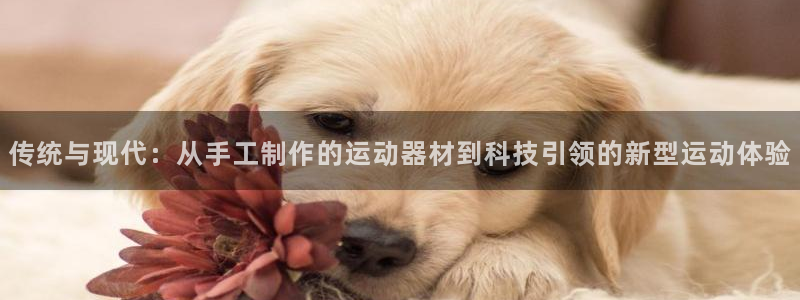 征途国际招商电话地址查询：传统与现代：从手工制作的运动器材到