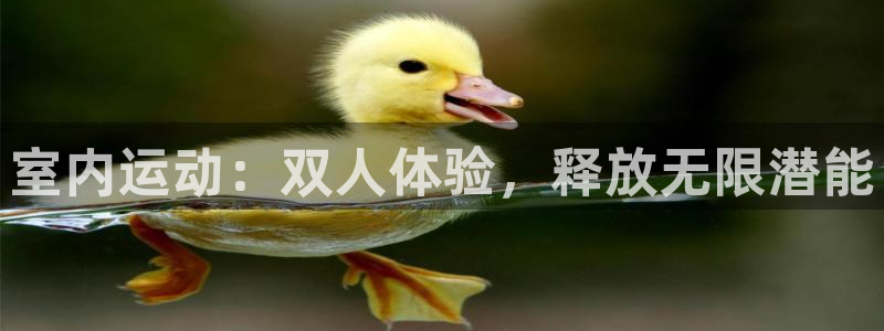 征途国际平台是正规平台吗知乎：室内运动：双人体验，释放无限潜