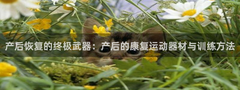 征途国际集团官网