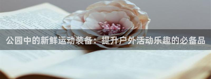 征途国际娱乐代理怎么样：公园中的新鲜运动装备：提升户