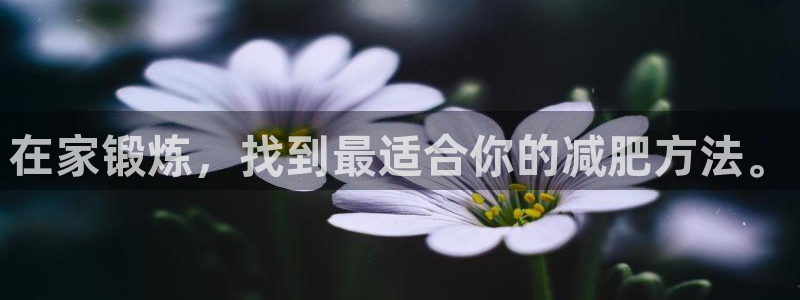 征途国际平台体育：在家锻炼，找到最适合你的减肥方法。